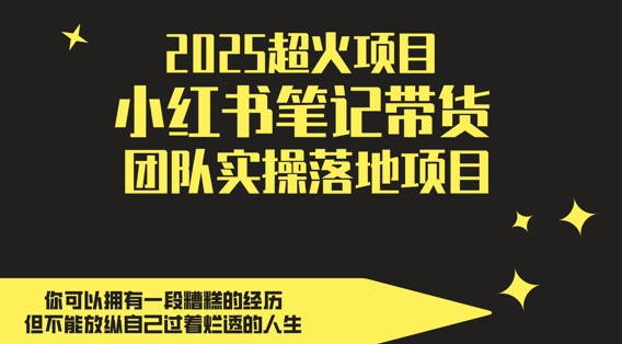 2025超火项目，副业最佳选择，小红书笔记带货团队实操落地项目，，轻松日入5张-星光网创
