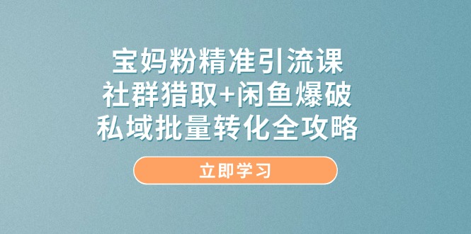 （14820期）宝妈粉精准引流课，社群猎取+闲鱼爆破，私域批量转化全攻略-星光网创