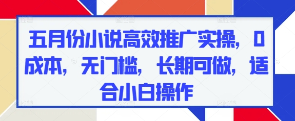 五月份小说高效推广实操，0成本，无门槛，长期可做，适合小白操作-星光网创