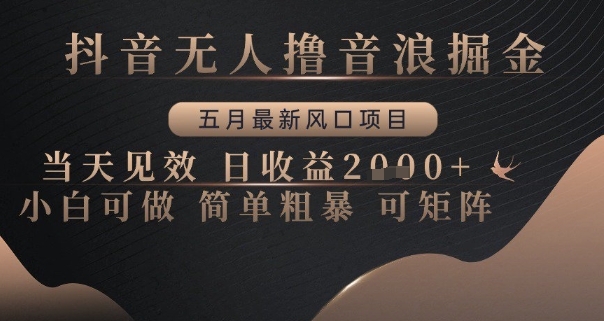 抖音无人撸音浪掘金，五月最新风口项目，当天见效，日收益多张，小白可做简单粗暴可矩阵【揭秘】-星光网创