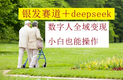 银发赛道+deepseek数字人全域变现，小白也能操作-星光网创