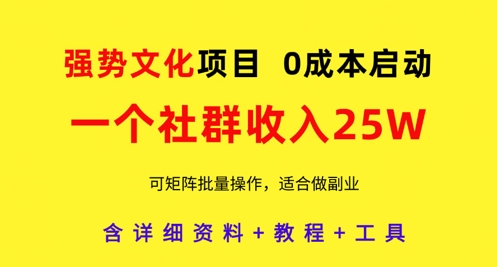 强势文化项目，一个社群收入25个W，0成本启动，可矩阵批量操作，原创详细实操教程-星光网创