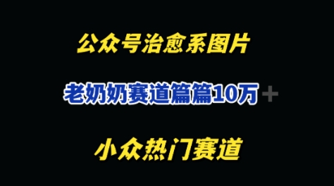 公众号老奶奶治愈系流量主，篇篇10W+-星光网创