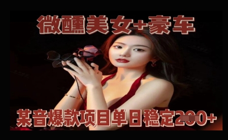 微醺美女+豪车，抖音爆款项目单日稳定2张+-星光网创