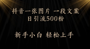 每天2分钟，抖音一张图片 一段文案日引流500粉-星光网创