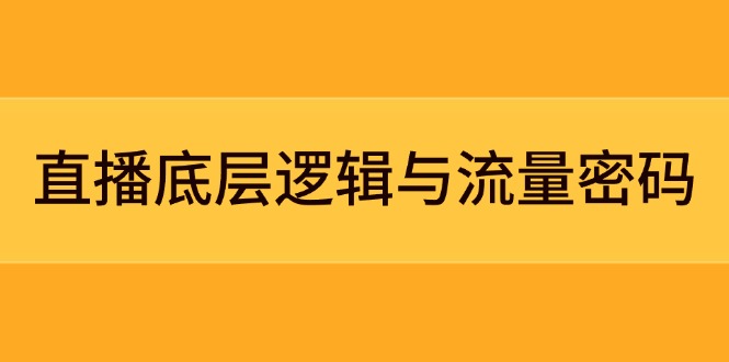 （14695期）直播底层逻辑与流量密码：定位模型+案例拆解，急速流承接与数据优化全攻略-星光网创
