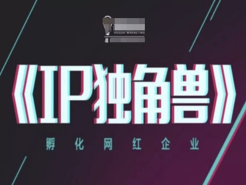 IP独角兽，孵化网红企业，ip教程-星光网创