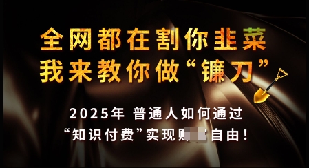知识付费如何做到月入过W+，2025我来教你做“镰刀”【揭秘】-星光网创