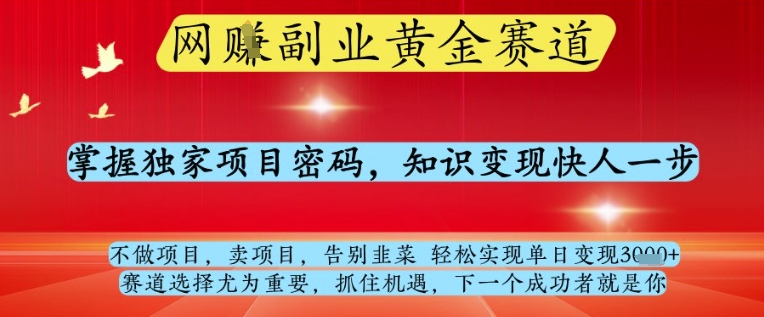 网创副业黄全赛道，掌握独家项目密码，知识变现快人一步，告别韭菜轻松实现单日变现1k+【揭秘】-星光网创