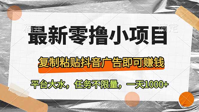 （14230期）最新零撸小项目，复制粘贴抖音广告即可赚钱，平台大水，任务不限量，一…-星光网创