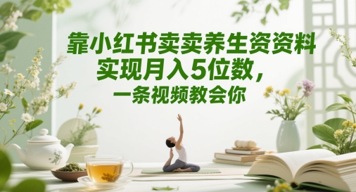 靠小红书卖养生资料实现月入5位数，一条视频教会你-星光网创