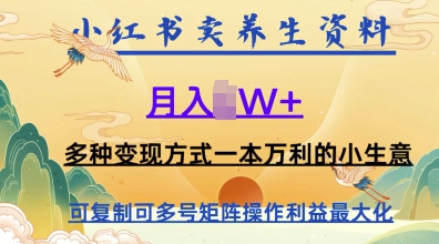 在小红书上卖养生资料，月入1w+，多种变现方式一本万利的小生意-星光网创