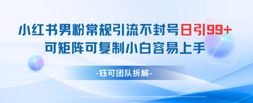 小红书男粉常规引流不封号日引99+变现简单 可矩阵可复制小白容易上手-星光网创