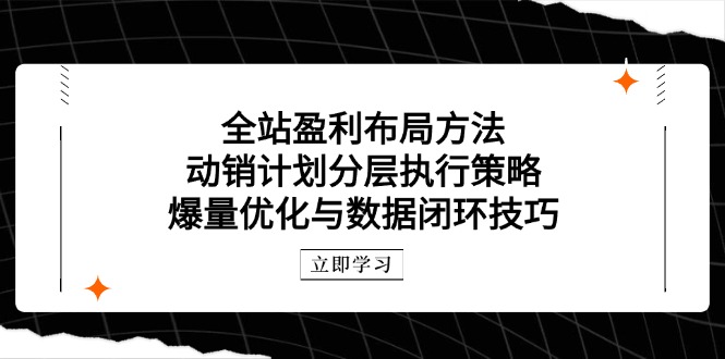 （14698期）全站盈利布局方法：动销计划分层执行策略，爆量优化与数据闭环技巧-星光网创