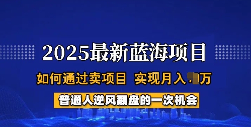 2025蓝海项目，普通人如何通过卖项目，实现月入过W，全过程【揭秘】-星光网创