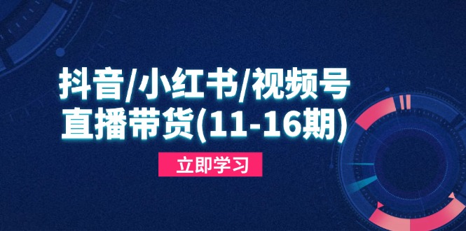 （14611期）抖音/小红书/视频号/直播带货(11-16期)，快速掌握平台规则，打造爆款内容-星光网创
