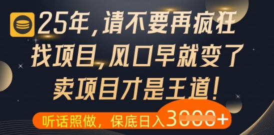什么？25年你还在疯狂找项目做，醒醒吧，看完这些你全都懂了【揭秘】-星光网创