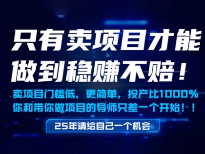 只有卖项目才能做到稳挣不赔，门槛低，更简单，你也可以年入百个W【揭秘】-星光网创