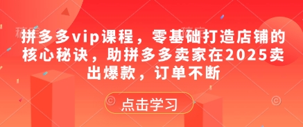 拼多多vip课程，零基础打造店铺的核心秘诀，助拼多多卖家在2025卖出爆款，订单不断-星光网创