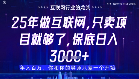 什么！25年你还在找项目做？风口早就变了，卖项目才是稳挣不赔【揭秘】-星光网创