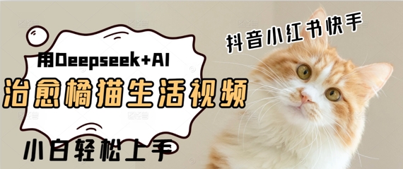疯狂火爆，用Deepseek+AI做治愈橘猫系列视频，小白轻松制作+快速拿到结果-星光网创