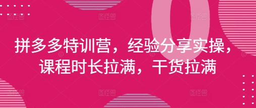 拼多多特训营，经验分享实操，课程时长拉满，干货拉满(更新25年4月)-星光网创